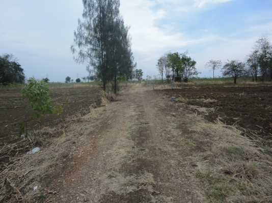 ขายที่ดินจังหวัดกาญจนบุรี เป็น ภบท.5 ไร่ละ 120000 มีอยู่ 2 ไร่ 1 งาน 70 ตรว.ลดราคาลงแล้วนะครับ ติดต่อ 084-3947781 ขายที่ดินจังหวัดกาญจนบุรี เป็น ภบท.5 ไร่ละ 120000 มีอยู่ 2 ไร่ 1 งาน 70 ตรว.ลดราคาลงแล้วนะครับ ติดต่อ 084-3947781