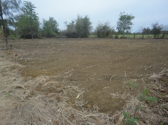 ขายที่ดินจังหวัดกาญจนบุรี เป็น ภบท.5 ไร่ละ 120000 มีอยู่ 2 ไร่ 1 งาน 70 ตรว.ลดราคาลงแล้วนะครับ ติดต่อ 084-3947781 ขายที่ดินจังหวัดกาญจนบุรี เป็น ภบท.5 ไร่ละ 120000 มีอยู่ 2 ไร่ 1 งาน 70 ตรว.ลดราคาลงแล้วนะครับ ติดต่อ 084-3947781