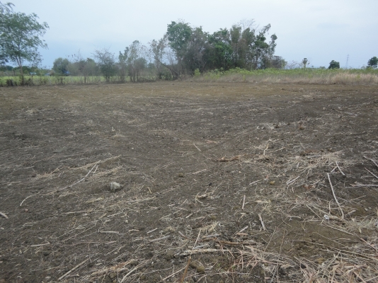 ขายที่ดินจังหวัดกาญจนบุรี เป็น ภบท.5 ไร่ละ 120000 มีอยู่ 2 ไร่ 1 งาน 70 ตรว.ลดราคาลงแล้วนะครับ ติดต่อ 084-3947781 ขายที่ดินจังหวัดกาญจนบุรี เป็น ภบท.5 ไร่ละ 120000 มีอยู่ 2 ไร่ 1 งาน 70 ตรว.ลดราคาลงแล้วนะครับ ติดต่อ 084-3947781