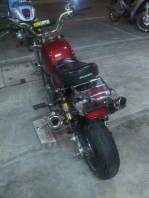 กอลิล่าขายแพงเข้ามาดูก่อน