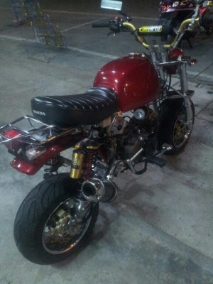 กอลิล่าขายแพงเข้ามาดูก่อน