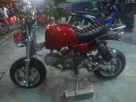 กอลิล่าขายแพงเข้ามาดูก่อน