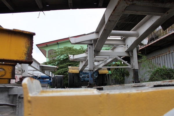 หางก้างปลา หางก้างปลา