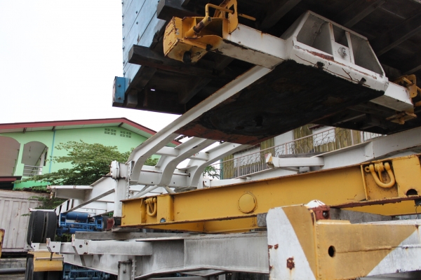 หางก้างปลา หางก้างปลา