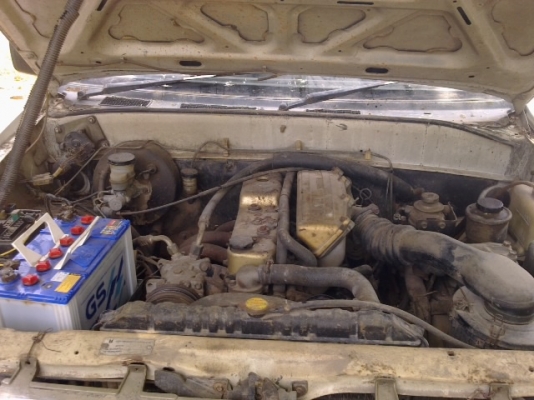 อิซูซุTFRหูช้าง