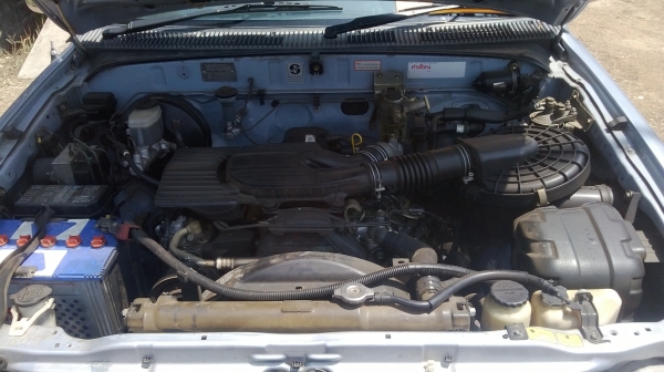 ขาย ไทเกอร์ ยกสูง