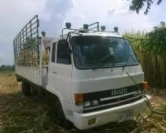 ISUZU ROCKY 165 HP 6BD1 กระบะคอกเหล็กทรงสูงความยาว 6 เมตรสภาพสวย ช่วงล่างคัชซีใหญ่สวย ยาง 9.00 ขอบ 20 เครื่องแห้งแรงดี หัวเก๋งสีบางเดิมภายในคอนโซลสวยครบ พวงมาลัยเพาเวอร์ ช่วงล่างแน่น ยางสภาพดี 6 เส้นประมาณ 70\% พร้อมบรรทุกพร้อมใช้งาน เอกสารเล่มทะเบียนภาษีค