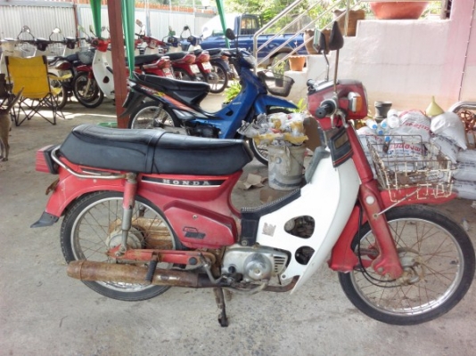 ขาย นันทิดา  แห้งสวย แท้เยอะ ทะเบียนโอนราคาถูก