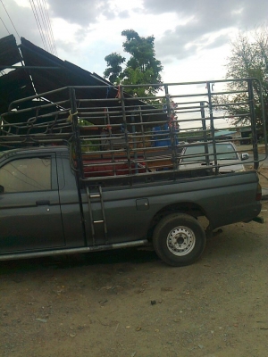 รถปิกอัพ มิซูบิชิ สตาด้า ปี98 เครื่องเทอร์โบอินเตอร์ ติดต่อ 0819010067 คุณสุชาติ