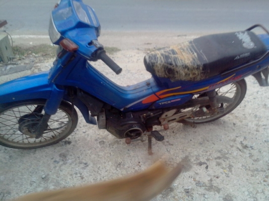 ขาย wave 100 3 คัน mate 111 1คัน