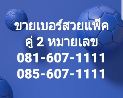 เบอร์โทร-เบอร์สวย ขายแพ็คคู่ 081-607-1111 + 085-607-1111