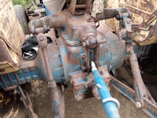 aGo41358786 aGo41358786