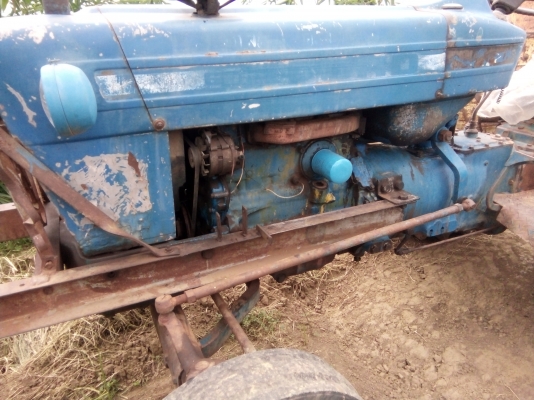 aGo41358786 aGo41358786