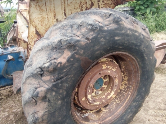 aGo41358786 aGo41358786