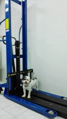 ขายรถยก แฮนด์ลิฟท์