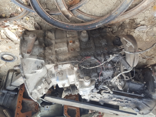 เกีย0643130366