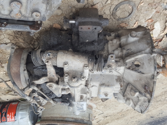 เกีย0643130366