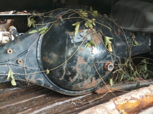 เฟืองท้ายรถเอฟ