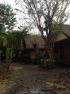 ขายรีสอร์ทส่วนตัวกลางเกาะช้าง จ.ตราด  มีบ้านพัก 4 หลัง เนื้อที่ 1 ไร่ 2 งานเศษ  ด้านหน้าติดทะเล ด้านหลังติดภูเขา  ทำเลดี  อากาศบริสุทธิ์  บรรยากาศ ไม่ต้องพูดถึง บอกได้คำเดียวว่าธรรมชาติมาก ขายถูกๆ เท่า ราคาประเมิน  16 ล้านบาท โฉนดพร้อมโอน เกาะช้าง จ.ตราด