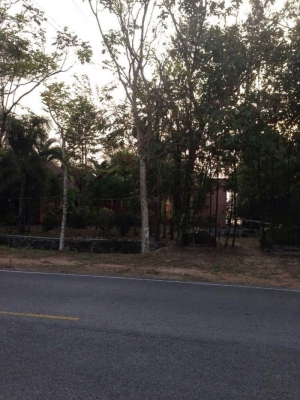 ขายรีสอร์ทส่วนตัวกลางเกาะช้าง จ.ตราด  มีบ้านพัก 4 หลัง เนื้อที่ 1 ไร่ 2 งานเศษ  ด้านหน้าติดทะเล ด้านหลังติดภูเขา  ทำเลดี  อากาศบริสุทธิ์  บรรยากาศ ไม่ต้องพูดถึง บอกได้คำเดียวว่าธรรมชาติมาก ขายถูกๆ เท่า ราคาประเมิน  16 ล้านบาท โฉนดพร้อมโอน เกาะช้าง จ.ตราด