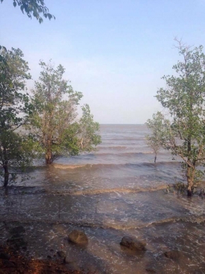 ขายรีสอร์ทส่วนตัวกลางเกาะช้าง จ.ตราด  มีบ้านพัก 4 หลัง เนื้อที่ 1 ไร่ 2 งานเศษ  ด้านหน้าติดทะเล ด้านหลังติดภูเขา  ทำเลดี  อากาศบริสุทธิ์  บรรยากาศ ไม่ต้องพูดถึง บอกได้คำเดียวว่าธรรมชาติมาก ขายถูกๆ เท่า ราคาประเมิน  16 ล้านบาท โฉนดพร้อมโอน เกาะช้าง จ.ตราด