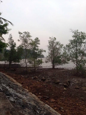 ขายรีสอร์ทส่วนตัวกลางเกาะช้าง จ.ตราด  มีบ้านพัก 4 หลัง เนื้อที่ 1 ไร่ 2 งานเศษ  ด้านหน้าติดทะเล ด้านหลังติดภูเขา  ทำเลดี  อากาศบริสุทธิ์  บรรยากาศ ไม่ต้องพูดถึง บอกได้คำเดียวว่าธรรมชาติมาก ขายถูกๆ เท่า ราคาประเมิน  16 ล้านบาท โฉนดพร้อมโอน เกาะช้าง จ.ตราด