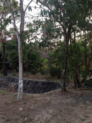 ขายรีสอร์ทส่วนตัวกลางเกาะช้าง จ.ตราด  มีบ้านพัก 4 หลัง เนื้อที่ 1 ไร่ 2 งานเศษ  ด้านหน้าติดทะเล ด้านหลังติดภูเขา  ทำเลดี  อากาศบริสุทธิ์  บรรยากาศ ไม่ต้องพูดถึง บอกได้คำเดียวว่าธรรมชาติมาก ขายถูกๆ เท่า ราคาประเมิน  16 ล้านบาท โฉนดพร้อมโอน เกาะช้าง จ.ตราด