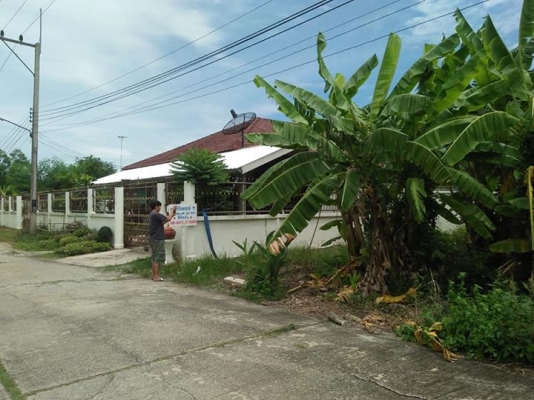 ขายด่วนที่ดิน200 ตรว.มีโฉนดราคาถูกๆเจ้าของขายเอง รังสิต-หนองเสือคลอง11 089-1610096เอก