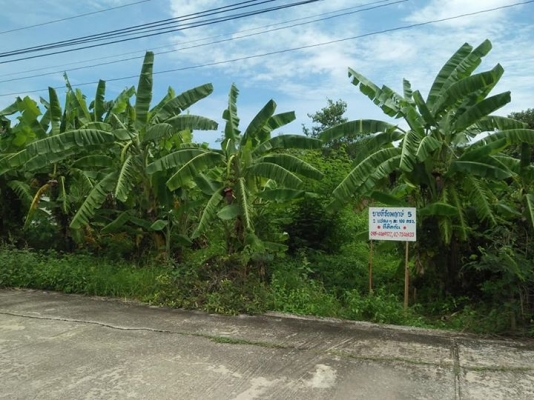 ขายด่วนที่ดิน200 ตรว.มีโฉนดราคาถูกๆเจ้าของขายเอง รังสิต-หนองเสือคลอง11 089-1610096เอก