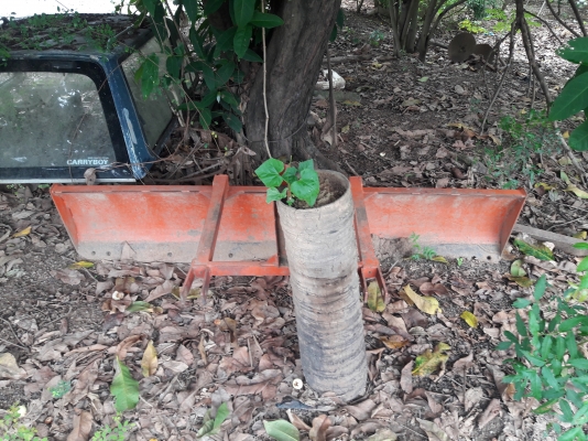 ขอขายใบดึงหลังรถไถความกว้าง2.20 เมตร ราคา 6,500 สนใจสอบถามได้ครับ 0819717099 ผอ.ภัทรพงษ์