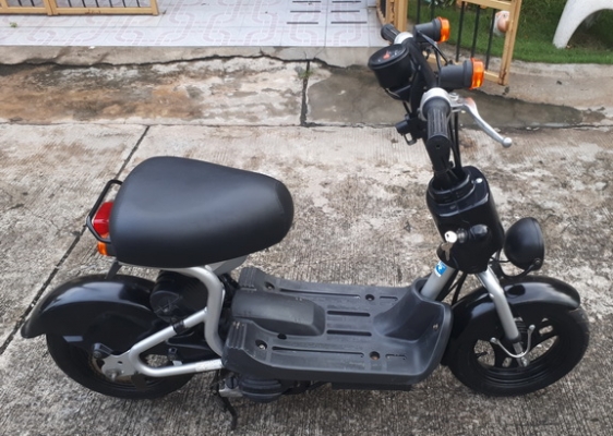 ขายโชอิโนริ SS เพิ่งมาจากญี่ปุ่น ขายโชอิโนริ SS เพิ่งมาจากญี่ปุ่น