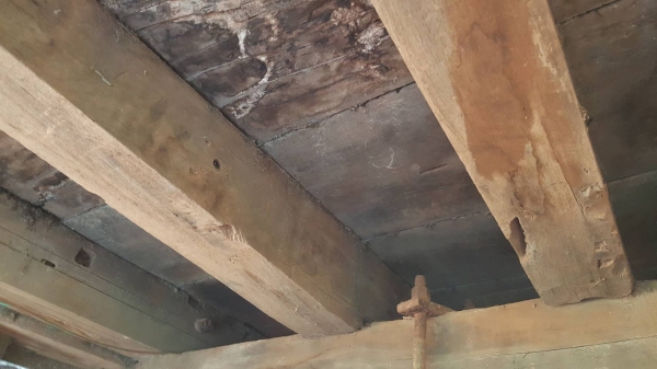 ขาย รถ 10 ล้อ หัวยาว 2 เพลา ช่วงล่าง FUSO เครื่อง+เกียร์ HO7C 185 แรงม้า สโลว์กลาง คานหน้าใหญ่ พวงมาลัยพาวเวอร์ คัสซีสวย ทะเบียนเต็มพร้อมโอน ขาย รถ 10 ล้อ หัวยาว 2 เพลา ช่วงล่าง FUSO เครื่อง+เกียร์ HO7C 185 แรงม้า สโลว์กลาง คานหน้าใหญ่ พวงมาลัยพาวเวอร์ คัสซีสวย ทะเบียนเต็มพร้อมโอน