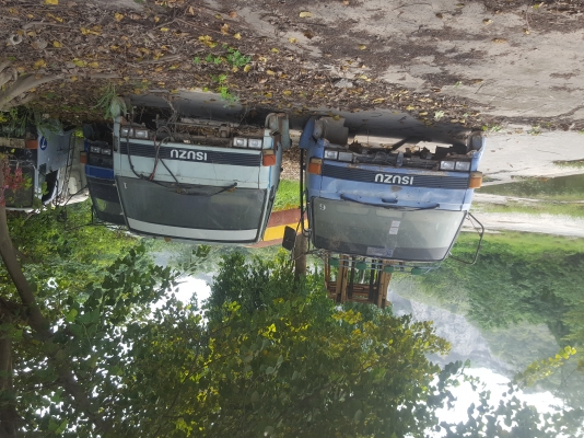 ขายเหมา7หัว