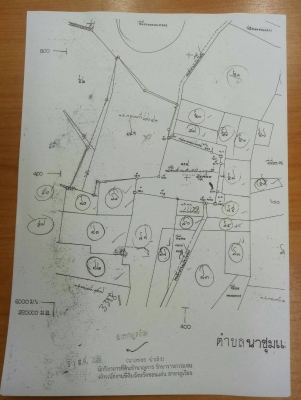 ขายที่ดิน 49-1-25 ไร่ อ.ภูเวียง จ.ขอนแก่น