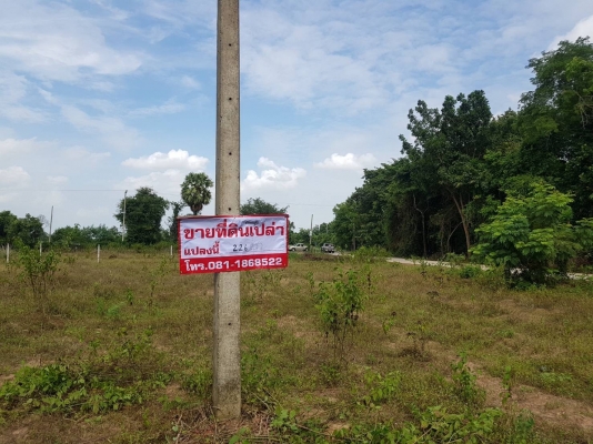 ขายที่ดินเปล่า อ.หนองกี่ ด้านหลัง big Cหนองกี่