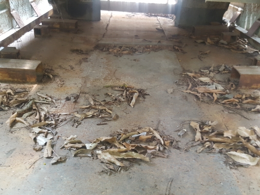 ขายคับ68000โท0643130366เก่านอกใหม่ไทยคับ ขายคับ68000โท0643130366เก่านอกใหม่ไทยคับ