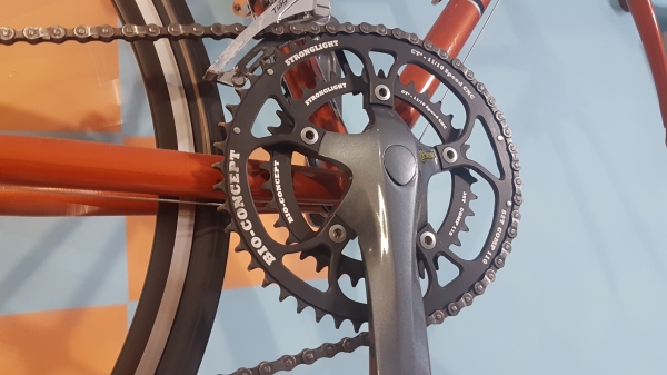 ขายเสือหมอบ araya excella