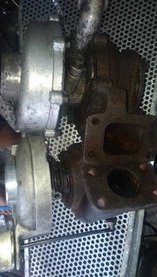 เหมาไป2ตัวถูกๆเลย