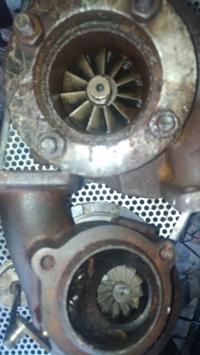 เหมาไป2ตัวถูกๆเลย