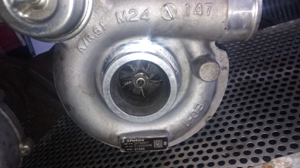 เหมาไป2ตัวถูกๆเลย