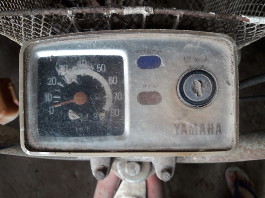 ขาย yamaha chappy