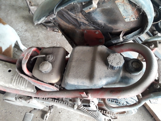 ขาย yamaha chappy ขาย yamaha chappy