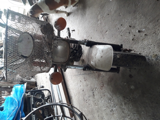 ขาย yamaha chappy ขาย yamaha chappy