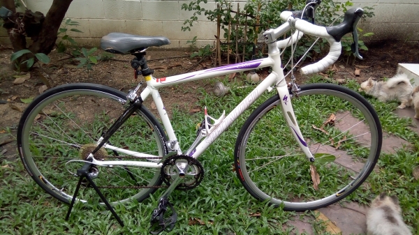 จักรยานเสือหมอบ...SPECIALIZED 27GEAR จาก17000เหลือ 13000ครับร้อนเงินครับ