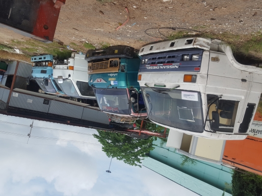 ขายหัวเก่ง0631903017