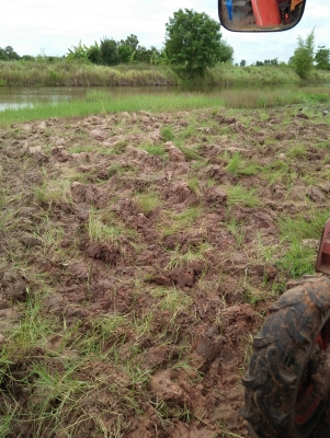 ขายครับใช้ดีใช้คล่องตามสภาพครับiseski610c