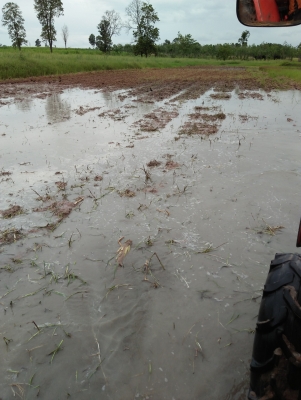 ขายครับใช้ดีใช้คล่องตามสภาพครับiseski610c