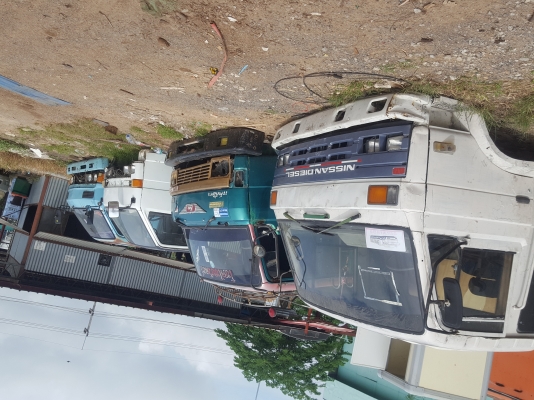 ขายเหมา-แยก 5หัว 0631903017