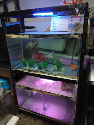 ตู้ปลา 30 นิ้ว 3 ใบ