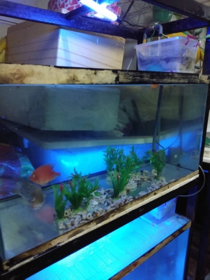 ตู้ปลา 30 นิ้ว 3 ใบ